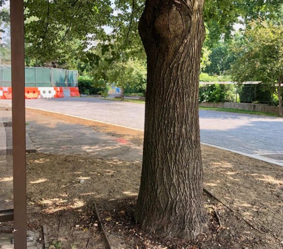 R. I. Garden Club's Classy New Entrance Decorative paving, hand-laid, makes the new roadway a fitting entrance for the Garden Club.